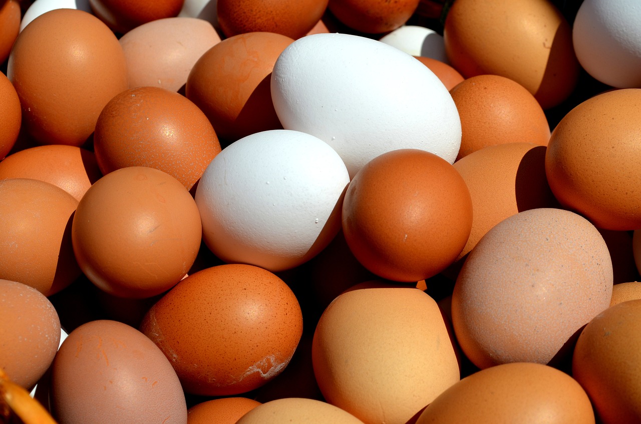 Free Range Eggs Basket of brown and white free range eggs
