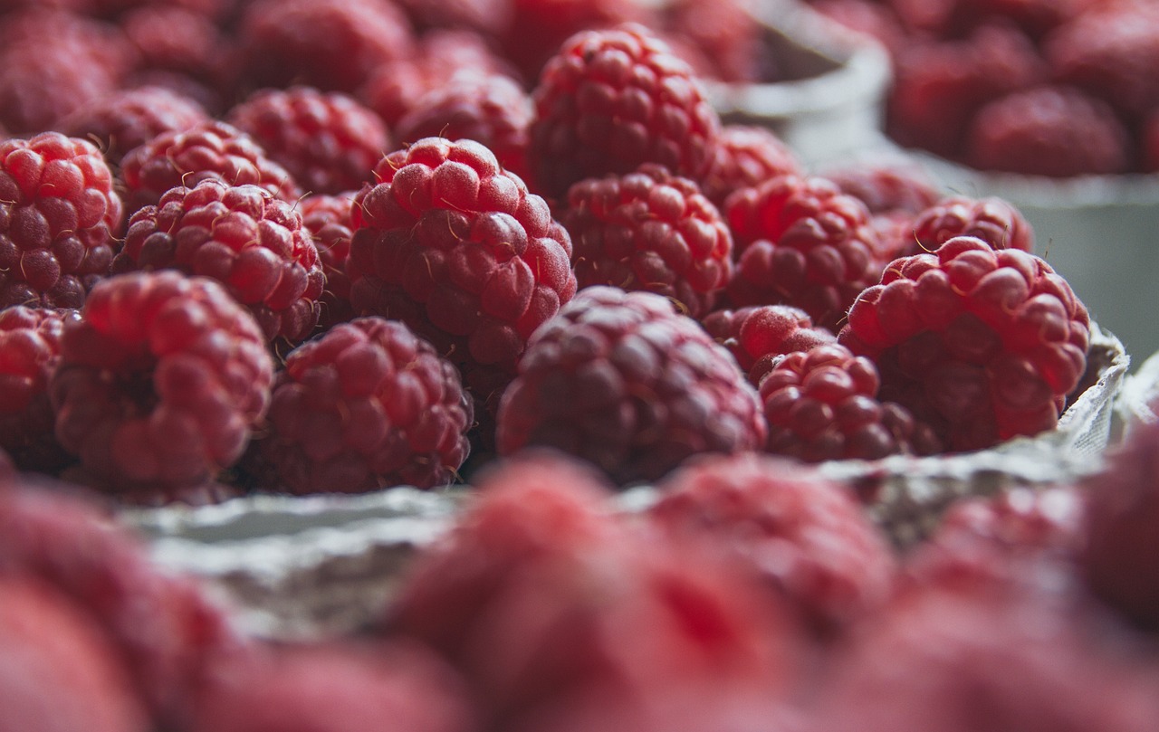 Raspberries Fresh raspberries picked for sale.